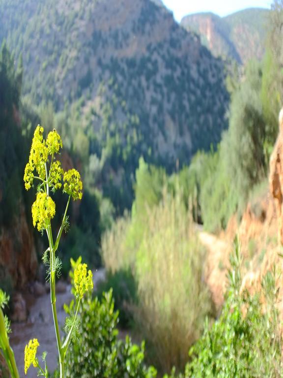 Riad Cascades D'Ouzoud Zewnętrze zdjęcie