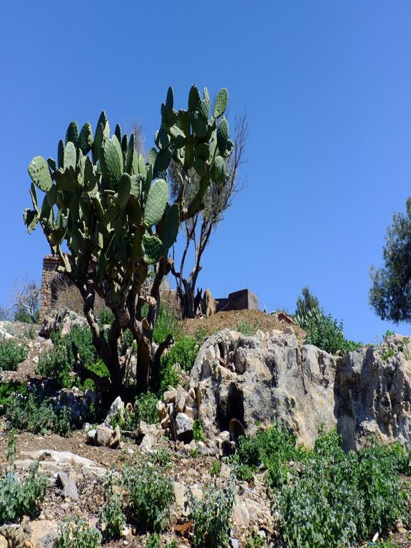 Riad Cascades D'Ouzoud Zewnętrze zdjęcie