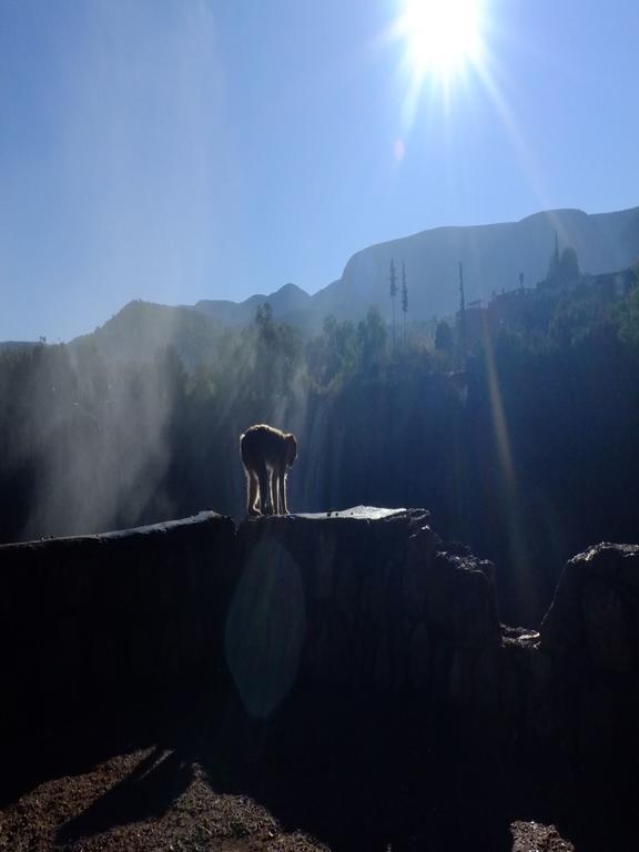 Riad Cascades D'Ouzoud Zewnętrze zdjęcie