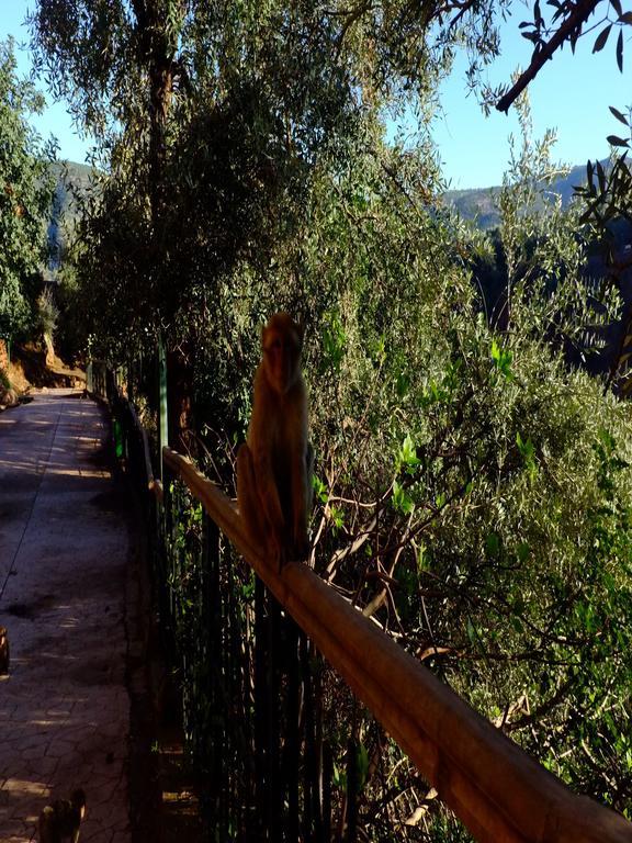 Riad Cascades D'Ouzoud Zewnętrze zdjęcie